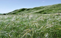 Полибинские горы
