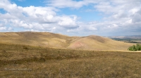 Козьи Горы