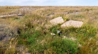 Родник Тасбулак