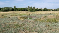 Урочище Петропавловка