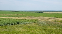 Рудники у Косматой Шишки