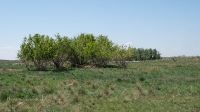 Село Ащельсай. 2021 год