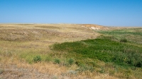 Овраг-водосброс Троицкого водохранилища