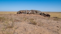 Гора Алеутас. Август 2021 года
