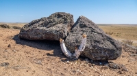 Гора Алеутас. Август 2021 года