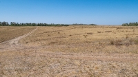 Гора Алеутас. Август 2021 года