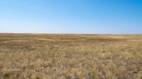 Карстовое поле на водоразделе Тасбулака и Акбулака. Август 2021 года