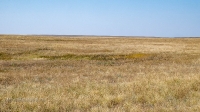 Карстовое поле на водоразделе Тасбулака и Акбулака. Август 2021 года