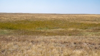 Карстовое поле на водоразделе Тасбулака и Акбулака. Август 2021 года