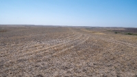 Гора Змеиная (Ханская гора, Могила хана, Михайловская гора). Август 2021 года