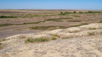 Гора Змеиная (Ханская гора, Могила хана, Михайловская гора). Август 2021 года