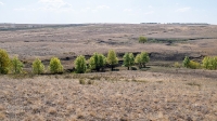 Бакский овраг