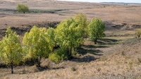 Бакский овраг