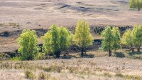 Бакский овраг