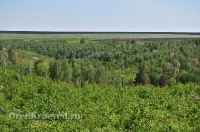 Карагайский бор и ущелье на реке Губерле