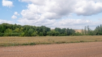 Барский лес