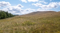 Козьи Горы