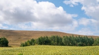 Козьи Горы
