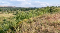 Кондуровские венцы