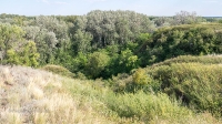 Урочище Красногоры