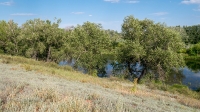 Урочище Красногоры
