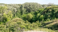 Урочище Красногоры
