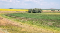 Карабаторская старица. Июль 2021 года
