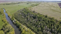 Урочище Березовая гора
