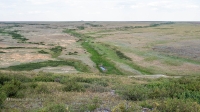 Гора Змеиная (Кумыс-Тюбе). Июнь 2021 года
