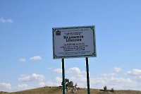 Вишневая Шишка