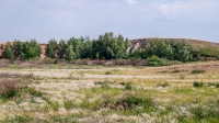 Обрыв Семицветка. Июнь 2021 года