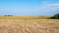 Карабутакские лески