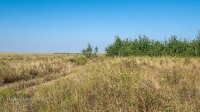 Карабутакские лески