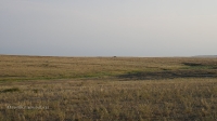 Водосброс пруда на Карагашке