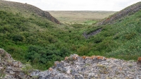 Карстовое поле и мраморный лог у Юбилейного. Июнь 2021 года