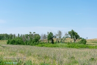 Белоглинские колки