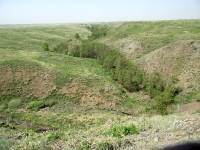 Урочище Банка