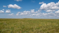 Урочище Чертово Городище. Июнь 2020 года