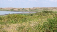 Озеро Купа (Гайнуллинское). Июнь 2021 года