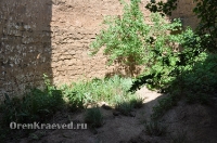 Бай-могила. Май 2012 года