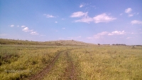 Гора Янгизка