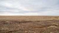 Акжарская степь