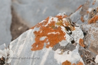 Мраморный утес