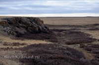 Урочище Крыкла. Ноябрь 2012 года