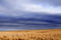 Урочище Крыкла. Ноябрь 2012 года
