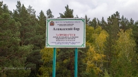 Аландский бор