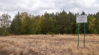 Аландский бор. Сентябрь 2021 года