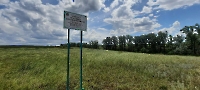 Кладбище псевдокрокодилов
