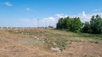 Малый Будамшинский пруд. Июнь 2021 года