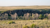 Тастыбутакское ущелье на реке Кумак. Май 2021 года